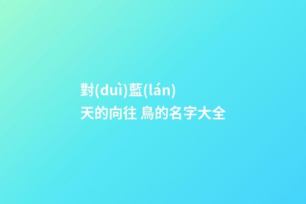 對(duì)藍(lán)天的向往 鳥的名字大全
